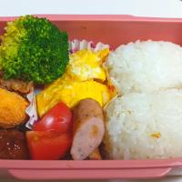 塩むすび弁当