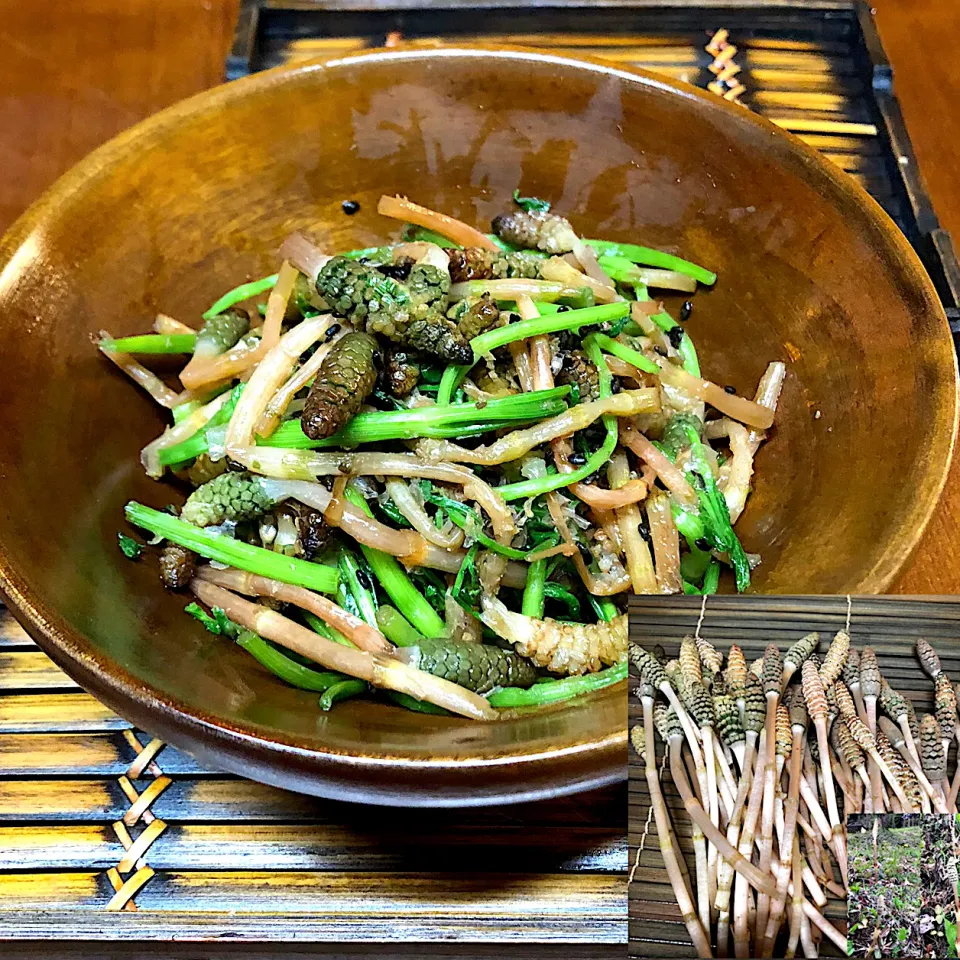 つくしとセリの佃煮🍃|henryさん