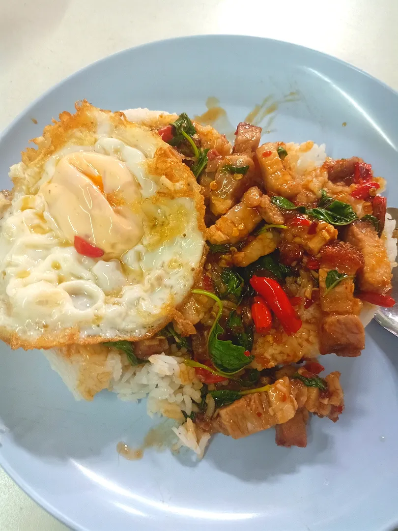 Gaprao Moo Krob w/ Kai Dao 🤤🌶️🐷🌶️🍳|An'leeさん