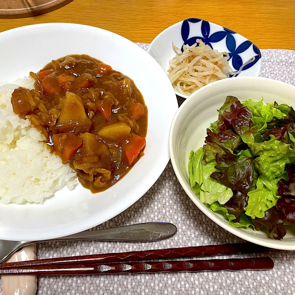 カレー、もやしのナムル、レタス|meryleさん