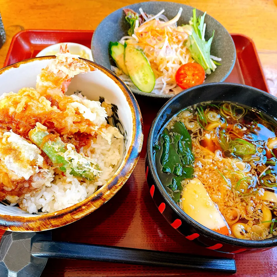 🙂ミニ天丼＆ミニうどん🙂|Laniさん