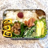 少食サラ弁　　　　　　　　　　　　　　　　鶏もも肉ソテー　スナップえんどうのマヨマスタード和え　海苔巻き卵焼き　etc