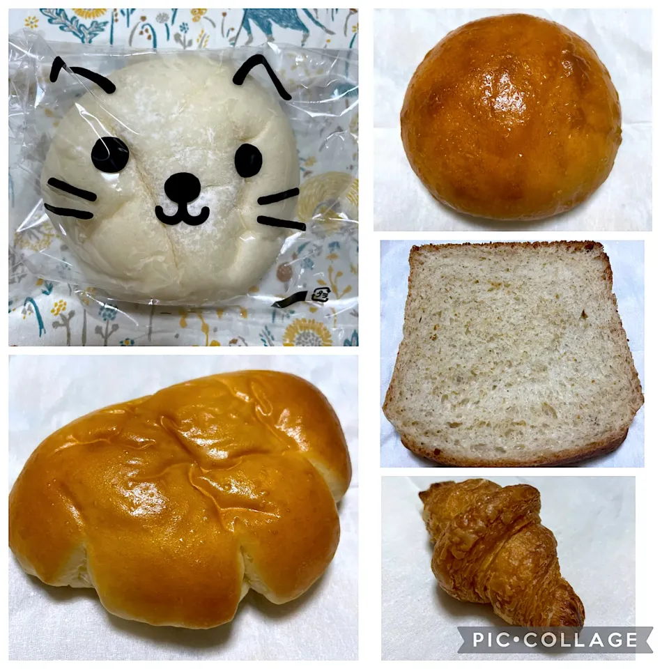 ふわもっち、クリームパン、糖質ひかえめパン、グラハム食パン、ミニクロワッサン|こいちさん