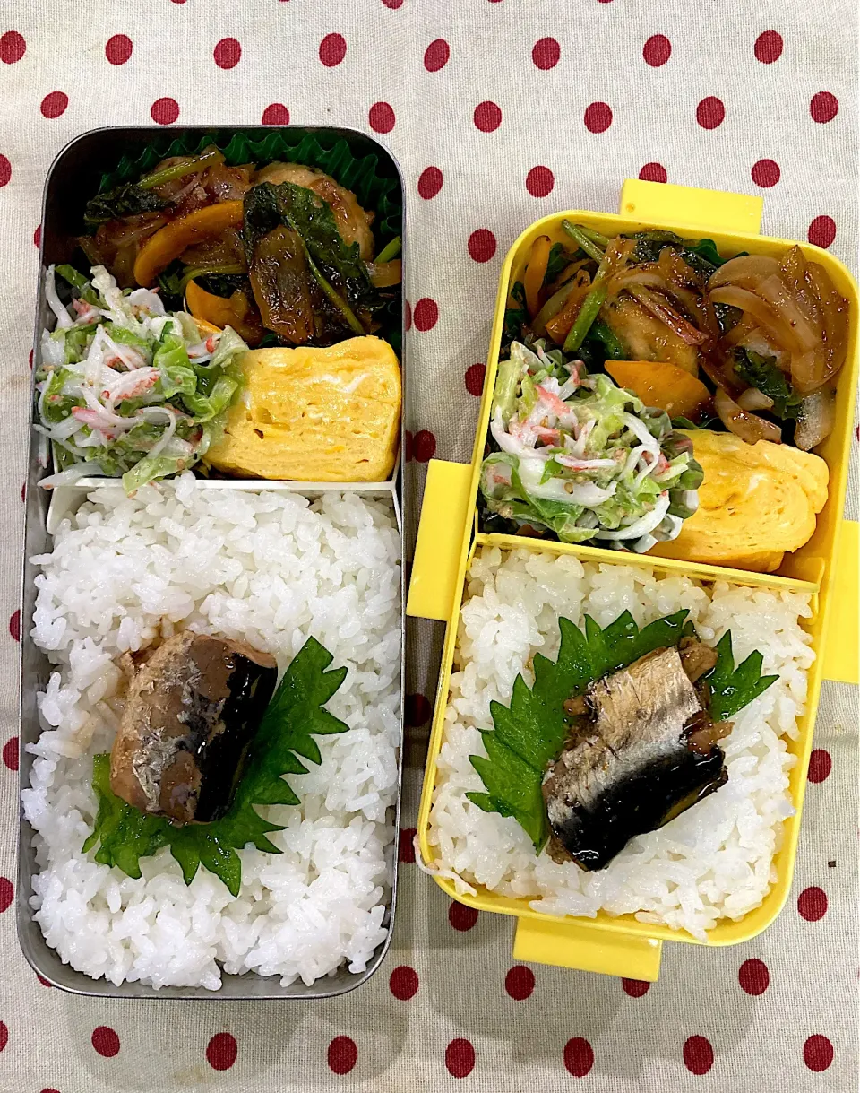 Snapdishの料理写真:3月23日 久々 大雨☔️ 弁当🍱|sakuramochiさん