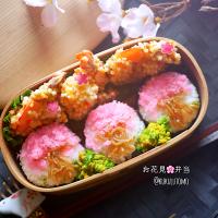 お花見🌸海苔巻き弁当