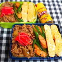 母とムスコのラブラブおソロ♪モリモリ!三色牛どーん弁当