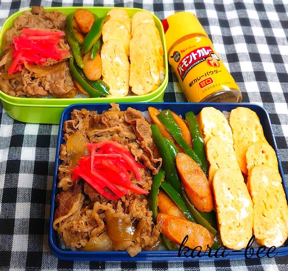 母とムスコのラブラブおソロ♪モリモリ!三色牛どーん弁当