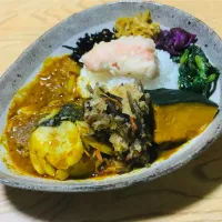 Snapdishの料理写真:惣菜スパイスカレー|Shingo Kajiyabさん