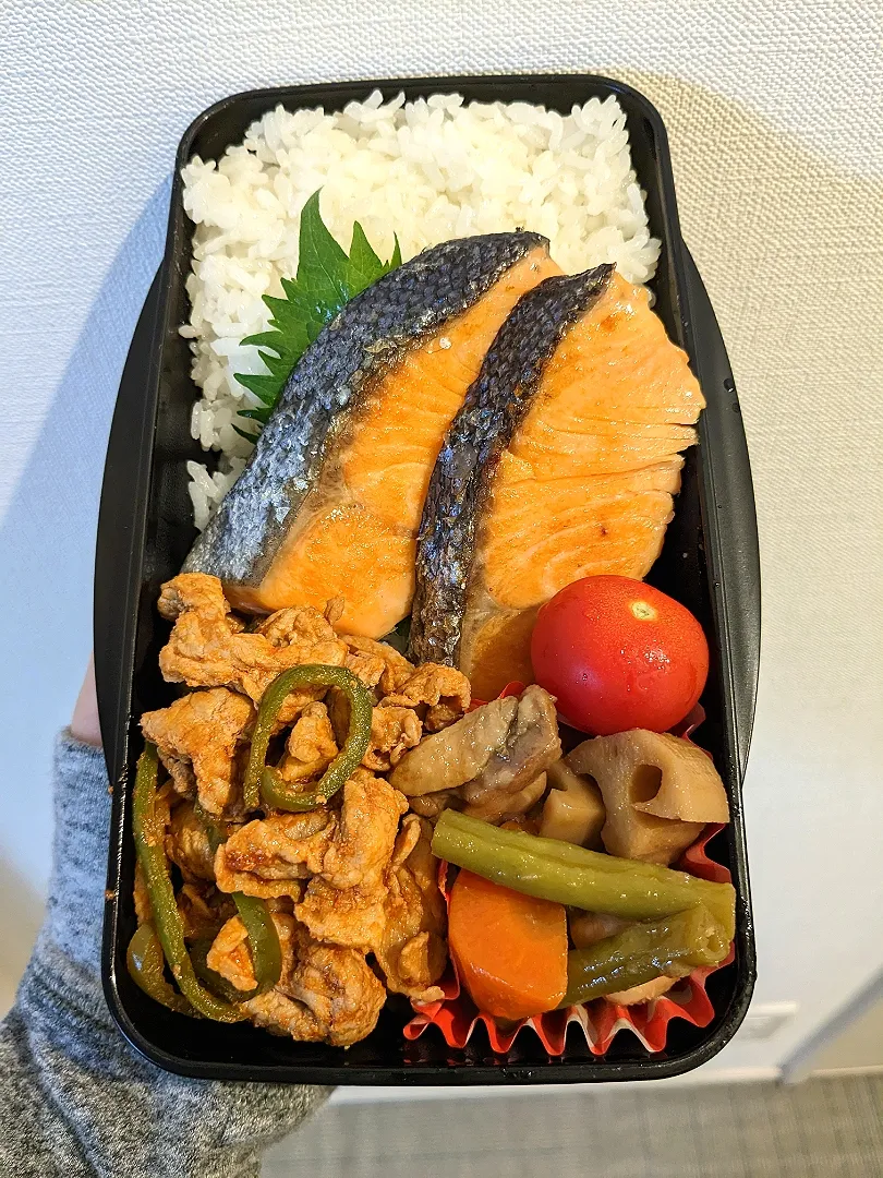 鮭弁当|きゅーさん