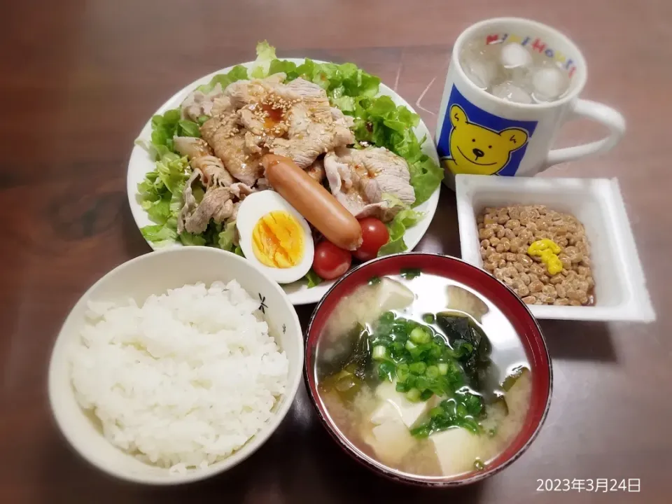 2023年3月24日の晩ご飯
豚こまのしゃぶしゃぶ
納豆
豆腐とわかめのお味噌汁|ソラ♂のご飯さん