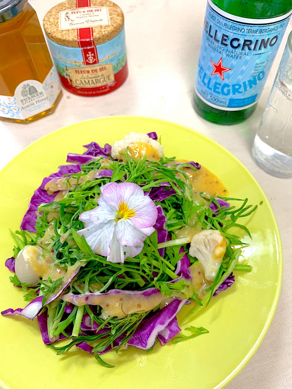 クレソンアレノア（丘クレソン）と紫キャベツの味噌マヨ蜂蜜オリーヴオイル