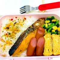 鮭西京焼き弁当🍱