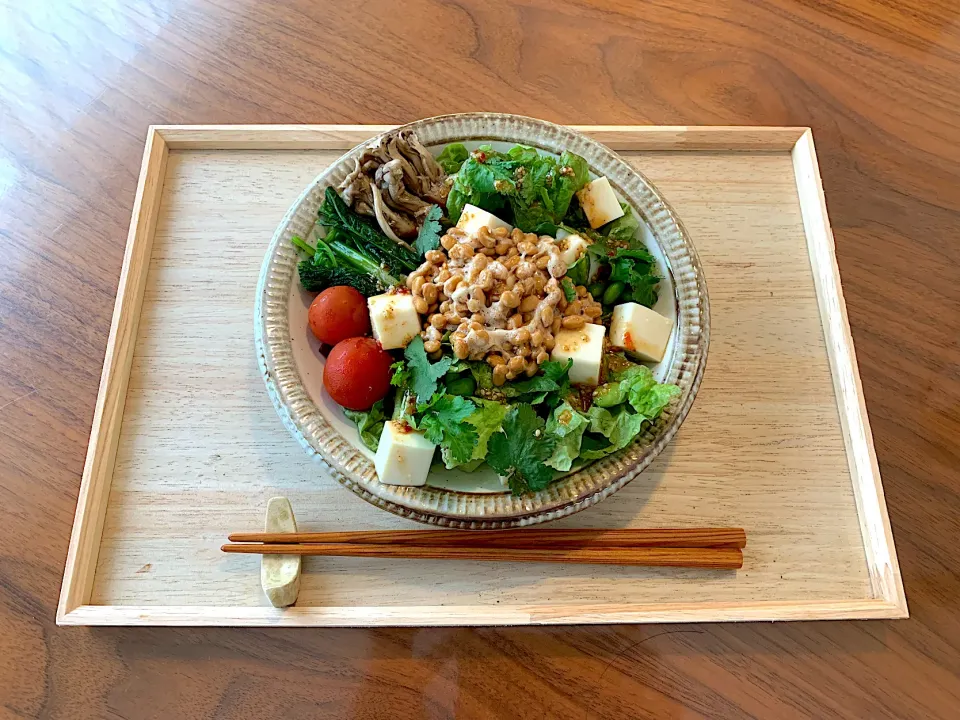 お昼ご飯|ペコさん