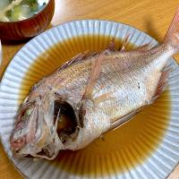 ＊鯛の煮魚🌸＊