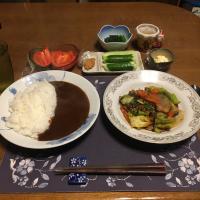 カレーライス、大豆ミートの肉野菜炒め(夕飯)