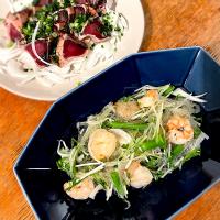 新玉ねぎのタイ風春雨サラダ＆かつおのタタキ
