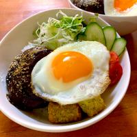ロコモコ丼