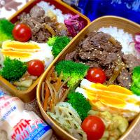 今日の夫婦弁⁽⁽ ◟(灬 ˊωˋ 灬)◞ ⁾⁾💕