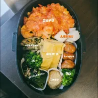 Snapdishの料理写真:エビチリ弁当|ゆずさん