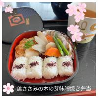 春の鶏ささみ木の芽味噌焼き弁当