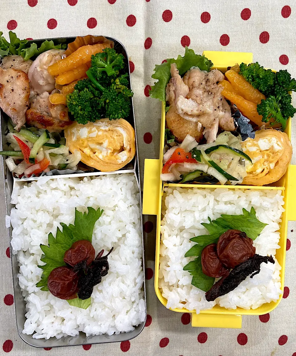 3月28日 寒の戻り弁当🍱|sakuramochiさん