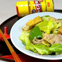 味付カレーパウダーでキャベツとピーマンの炒め物
