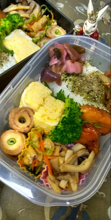 '23．3/28
本日のお弁当🍱|たえさん