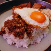 Snapdishの料理写真:魯肉飯|ケンケンさん