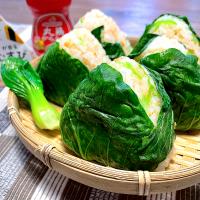 青梗菜と鮭のだしむすび