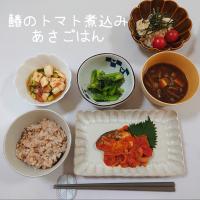 鰆のトマト煮込み朝ごはん。

#本日の朝ごはん
◎鰆のトマト煮込み
◎長芋と胡瓜の梅ポン酢和え
　角切りした長芋、胡瓜、すり潰した梅、ポン酢、いりごまを和える。
◎小松菜の胡麻和え
　茹でた小松菜に、醤油:みりん 2:1に、だしの素、すりごま、はちみつちょろっと加えて和える。
◎大根のツナマヨポンサラダ　
◎プチトマト
◎赤だし味噌汁
◎もち麦ごはん