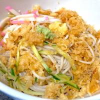 冷やしたぬき二枚盛り