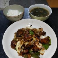 春キャベツに茄子を併せた欲張り回鍋肉定食食して夜勤に備え就寝します🛏
