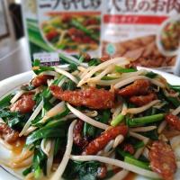 大豆のお肉　ニラもやし炒め
