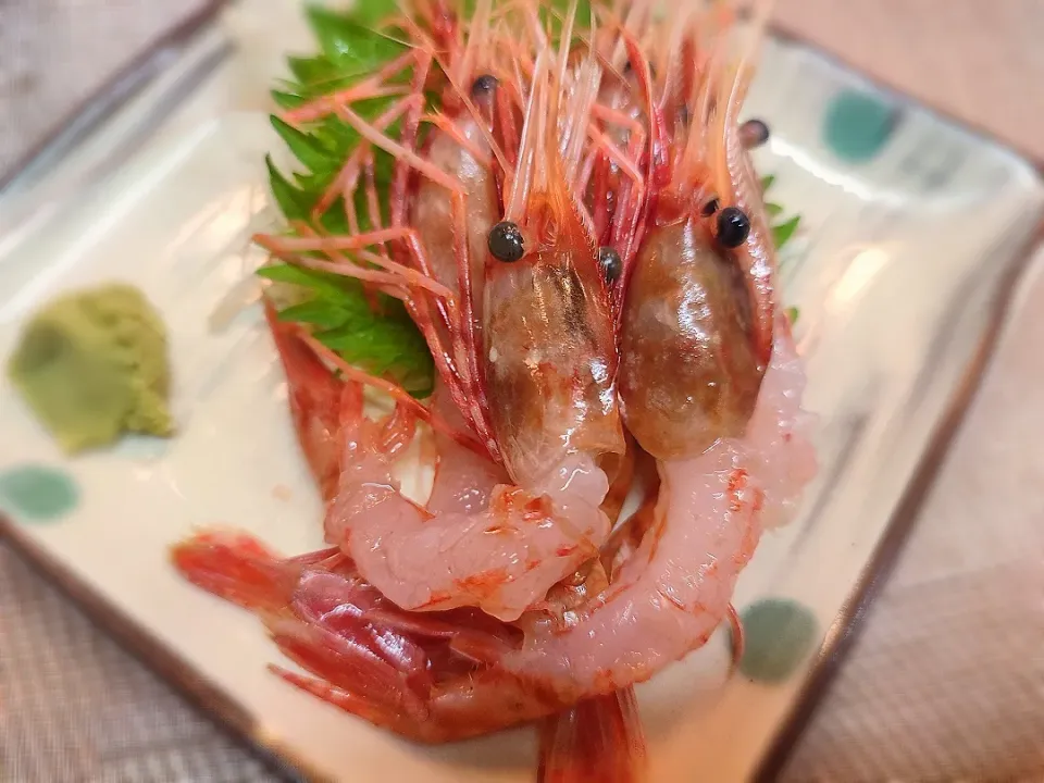 ぼたんえび刺身|居酒屋ちともさん