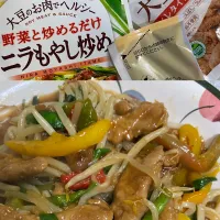 大豆のお肉のニラもやし炒め|ハーブと野菜のごはん。さん