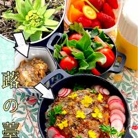 2023/03/30 蕗の薹味噌で和風ハンバーグ丼弁当