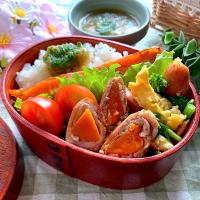＊お花見弁当🍱🌸＊