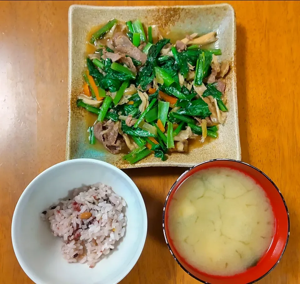 Snapdishの料理写真:2023 0320　小松菜と牛肉のスタミナ炒め　豆腐とわかめのお味噌汁|いもこ。さん