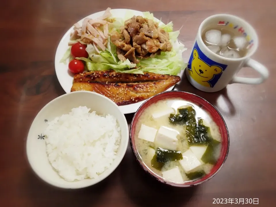 2023年3月30日の晩ご飯
さばみりん干し焼き
豚肉の生姜焼き
豆腐とわかめのお味噌汁|ソラ♂のご飯さん