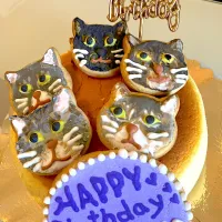 Snapdishの料理写真:多頭飼い朋子さんのお誕生日チーズケーキ|akikoさん