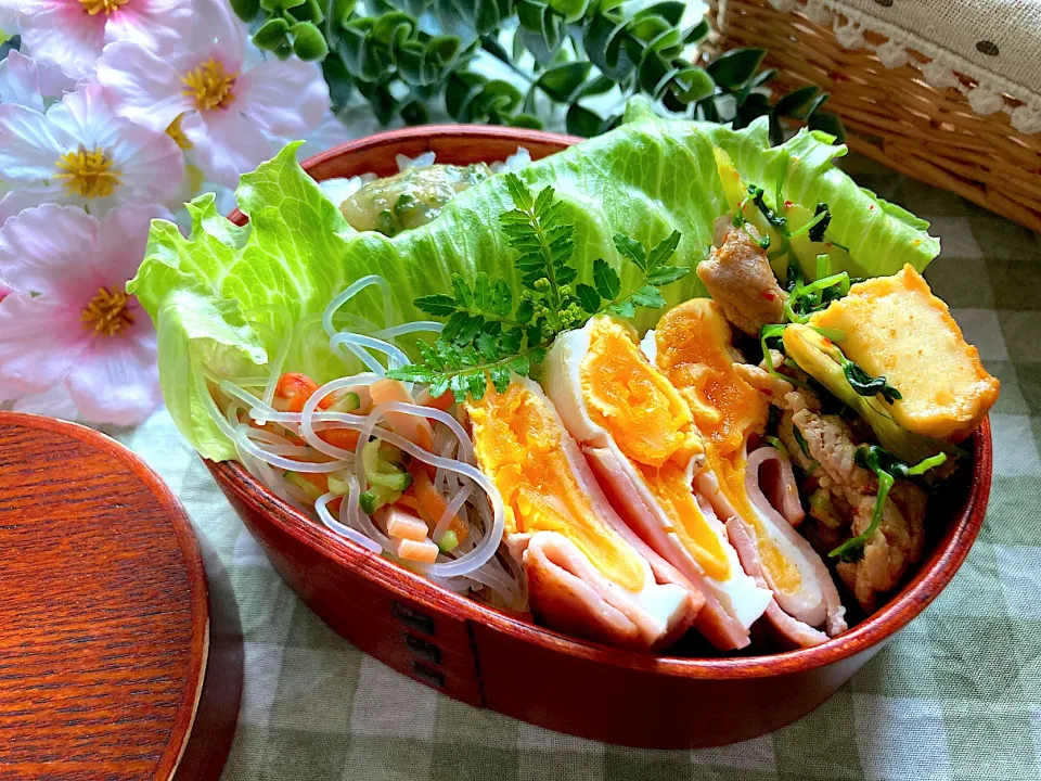 ＊お花見弁当🍱🌸＊|＊抹茶＊さん