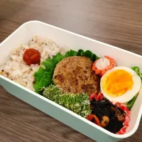 Snapdishの料理写真:ハンバーグ弁当|なおさん