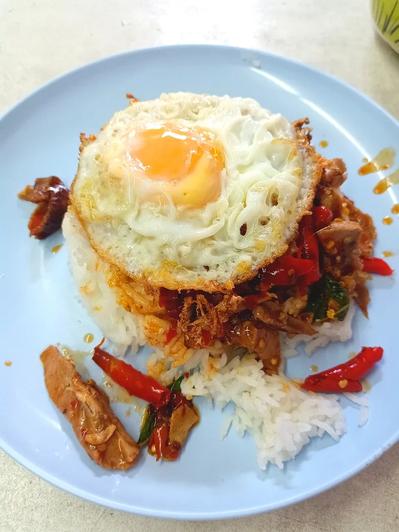 Snapdishの料理写真:SPICY Gaprao Ped on Rice topped w/ Kai Dao 🦆🍚🍳
กะเพราเป็ด (เผ็ดๆ) + ไข่ดาว 🌶️🌶️🌶️|An'leeさん