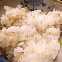 フキごはん🍚|のこさん