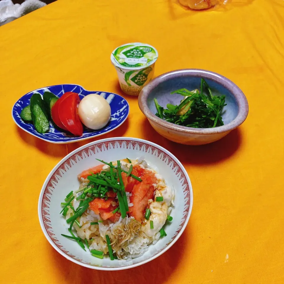 grandmaの晩ごはん☆サーモンしらすトロロ丼|kaoriさん