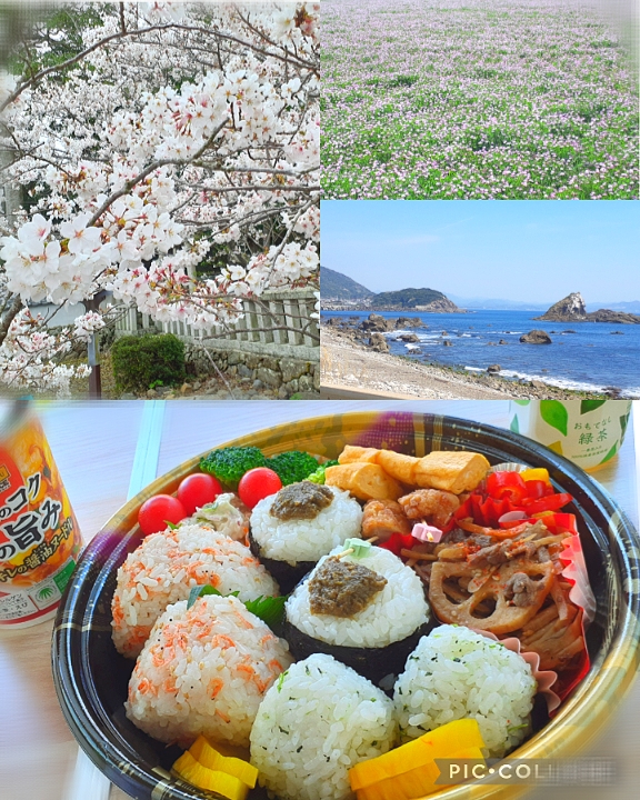 アルモンデお花見弁当🌸
