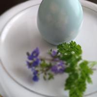 チャービル模様の茹で卵　ライトブルー桜2023