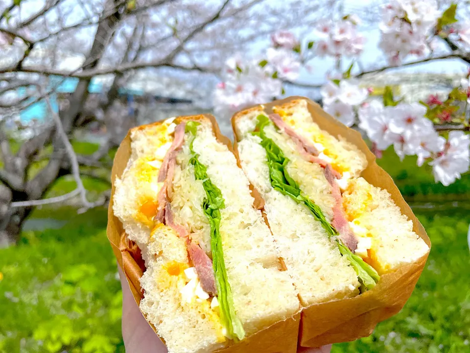 全粒粉入り食パンでローストビーフサンド|n_nさん