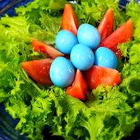 ライトブルー桜2023🌸陽だまり鳥の巣サラダ🥗