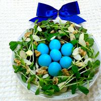 青いうずらの卵で鳥の巣風サラダ ライトブルー桜2023